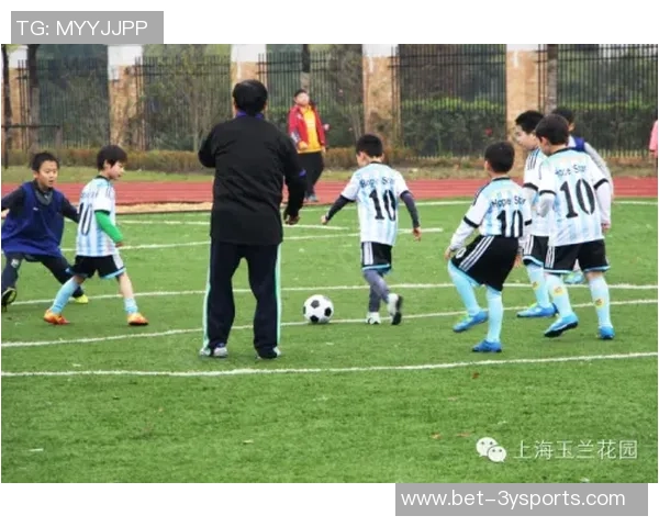 浙江绿城足球网助力青少年足球发展打造未来足球人才新高地